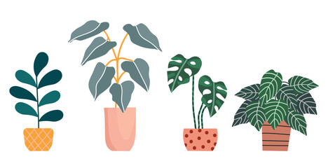 Potted plants, ceramic pots, different indoor types of plants. House Plants set. Hygge style. Isolated on white background. Horizontal flat vector illustration.