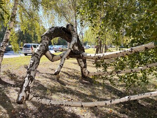 dead tree trunk