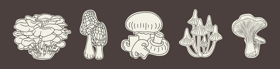 Set of hand-drawn vector illustrations of mushrooms. Outline style with chanterelle, morel, oyster, button, and clustered fungi. Vintage botanical design isolated on dark background