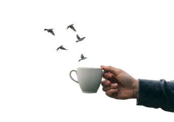 Start your day with positive vibes as a hand holds a coffee cup while birds take flight, freedom and energy in every sip, perfect for morning routines and inspirational content