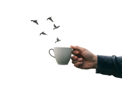 Start your day with positive vibes as a hand holds a coffee cup while birds take flight, freedom and energy in every sip, perfect for morning routines and inspirational content