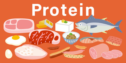 いろいろなタンパク質のイメージイラスト（三大栄養素・5大栄養素）