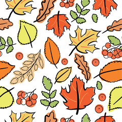 Autumn leaves of maple, oak, and mountain ash. Bright autumn leaves pattern