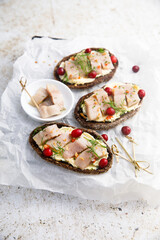 Herring sandwiches with cranberry