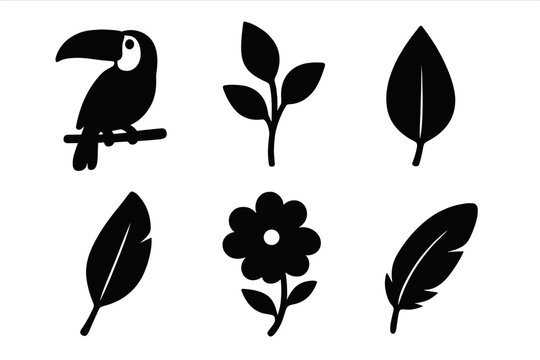 Set of black silhouette nature icons. Toucan bird, tropical plant, leaf, exotic flower, and feather designs. Vector cartoon graphic elements for jungle or zoo theme.