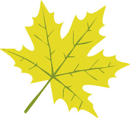 Maple Leaves Autumn Foliage Background with Fall Colors