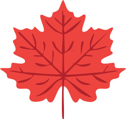 Fototapeta premium Maple Leaves Autumn Foliage Background with Fall Colors