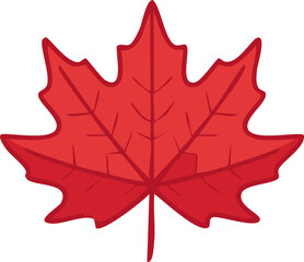 Maple Leaves Autumn Foliage Background with Fall Colors