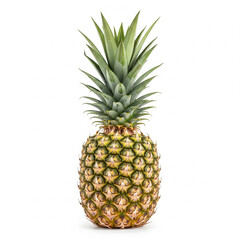 pineapple on white background