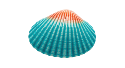Isolated seashell with orange and turquoise colors, ocean life, nautical theme, beach find