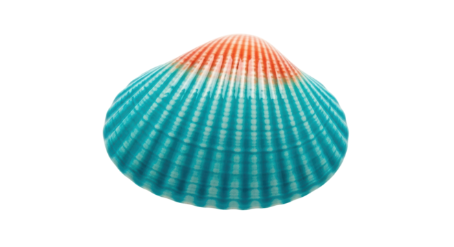 Isolated seashell with orange and turquoise colors, ocean life, nautical theme, beach find