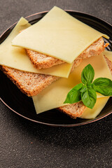 Sandwich cheese tasty snack fresh delicious gourmet food background on the table rustic top view copy space