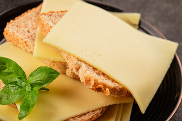 Sandwich cheese tasty snack fresh delicious gourmet food background on the table rustic top view copy space