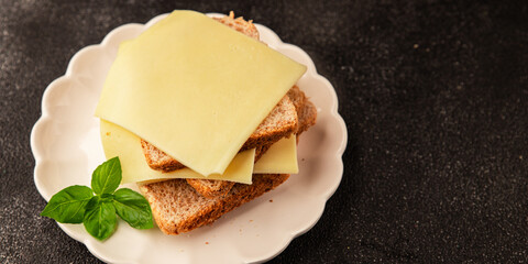 Sandwich cheese tasty snack fresh delicious gourmet food background on the table rustic top view...