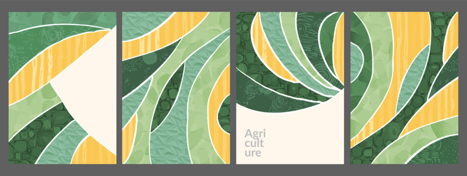 Green field rice and wheat farm with vineyard and corn. eco design vector creates tuscany landscape. Agriculture texture with illustration shows abstract nature art and rural background