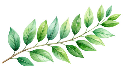 Fototapeta premium Watercolor Leafy Branch: A delicate watercolor illustration of a verdant branch, showcasing the intricate veins and varied hues of its leaves, evoking a sense of serenity and natural beauty.