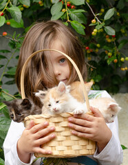 Cute five-year-old girl happily holding a basket full of fluffy kittens. Joy, childhood innocence, and love for animals concept. © tinkerfrost