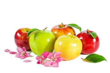 Shiny juicy multi-colored apples with apple blossoms and leaves isolated on white.
