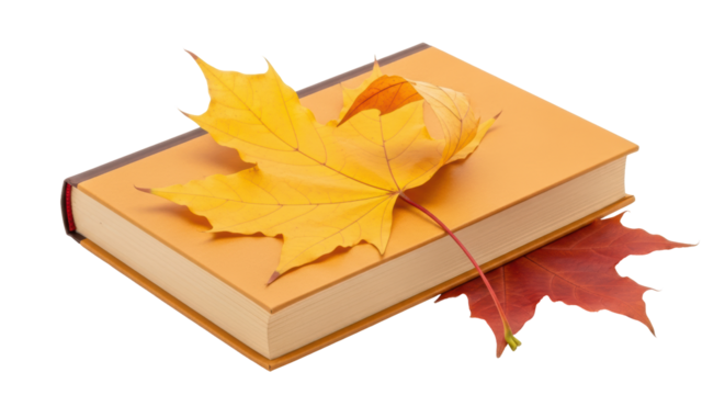 Isolated textbook with maple leaves on top, ready for back to school in autumn season