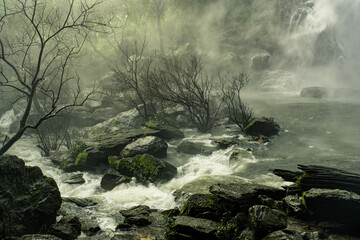 A stream of water is flowing through a forest 𝙆𝙝𝙡𝙤𝙣𝙜 𝙇𝙖𝙣 waterfall , 𝙆𝙖𝙢𝙥𝙝𝙖𝙚𝙣𝙜 𝙋𝙝𝙚𝙩
