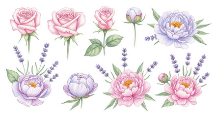 Floral Symphony: A watercolor illustration showcases delicate roses, peonies, and lavender, inviting viewers into a world of soft hues and natural elegance. 