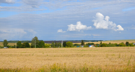Rural houses surrounded by endless wheat fields, Russia