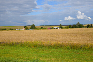 Fototapeta premium Rural houses surrounded by endless wheat fields, Russia
