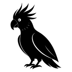 Cockatoo vector clean black silhouette design white background
