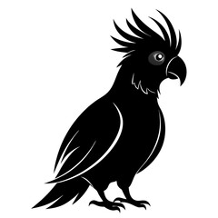 Cockatoo vector clean black silhouette design white background