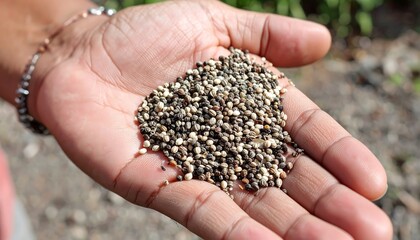 Hand holding small seeds