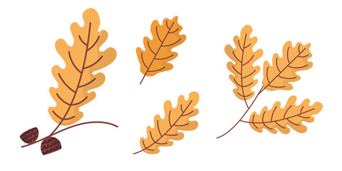 Yellow autumn oak leaves in different sizes. Collection of yellow oak leaves in various sizes, isolated on white background, perfect for seasonal design, collage, and illustration.