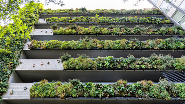 A modern building features a vertical garden with lush greenery adorning each balcony. This innovative design promotes urban sustainability and aesthetics.