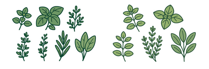 Variety of fresh green culinary herbs and aromatic spice leaves including basil, rosemary, and oregano for cooking and seasoning