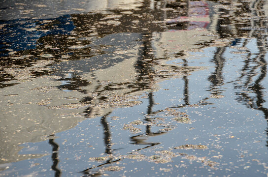 An abstract reflection on the water surface of a sedimentation tank at a wastewater treatment plant. The image captures the industrial environment in an artistic way.