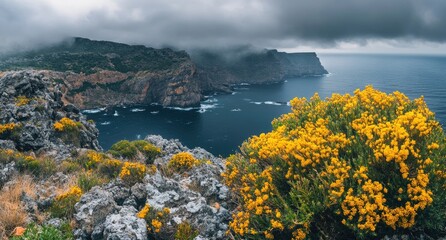 Panoramic view of the archipelago with rocks and sea, grey clouds, rainy day, rugged mountains in the background. The foreground features bushes on top of the mountain