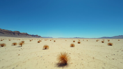 Wide angle video capturing a vast arid desert landscape with scattered tumbleweeds under a clear blu