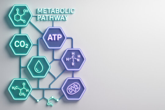 Metabolic Pathway Schematic: A visual representation of a metabolic pathway, depicting key molecules and processes such as ATP, CO2, and cellular respiration within hexagonal nodes connected by lines.