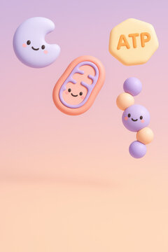 Cellular Energy Diagram: A vibrant illustration showcases the components of cellular energy production, featuring a smiling mitochondria, a molecule of ATP, and other related elements.