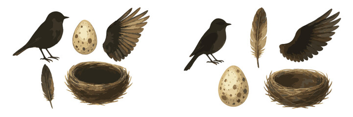 Collection of natural bird elements including a black bird, speckled egg, woven nest, and individual feather and wing