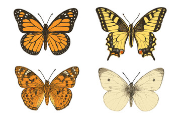 Detailed collection of diverse butterfly species with vibrant colorful wings and intricate patterns on a clean white background for nature and wildlife themes