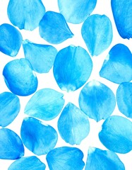 Light blue rose petals scattered on white