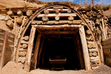 Fototapeta premium Entrance of an old coal mine surrounded with flowers and arid landscape