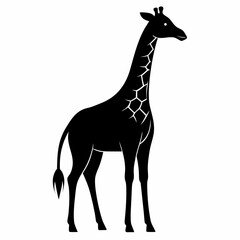 Fototapeta premium Giraffe Neck Stretch vector clean black silhouette design white background
