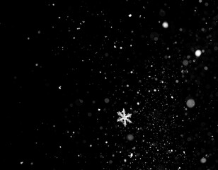 Floating Snow Particles on Black Background
