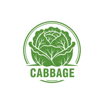 Flat vegetable logo with cabbage head inside circular badge with layered leaves detail