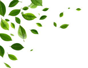 Falling Green Leaves Cascade, Transparent Background