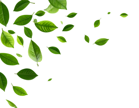 Falling Green Leaves Cascade, Transparent Background