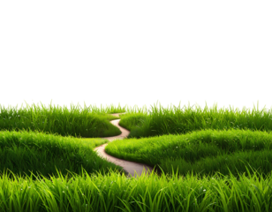 Realistic Green Grass Border Isolated on Transparent Background