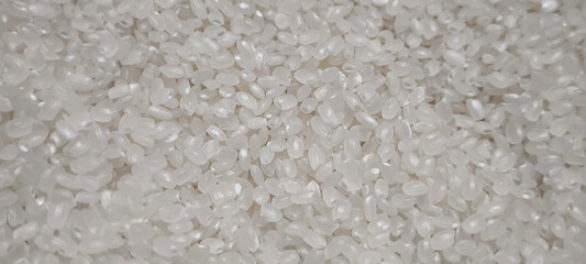 Close up of japanese rice. Japanese rice grains for background. Sushi Ingredients.