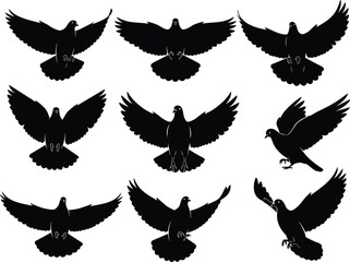 Flying bird silhouette set, pigeon and dove vector icons, black isolated shapes, wildlife clipart, wing motion, animal flight design elements